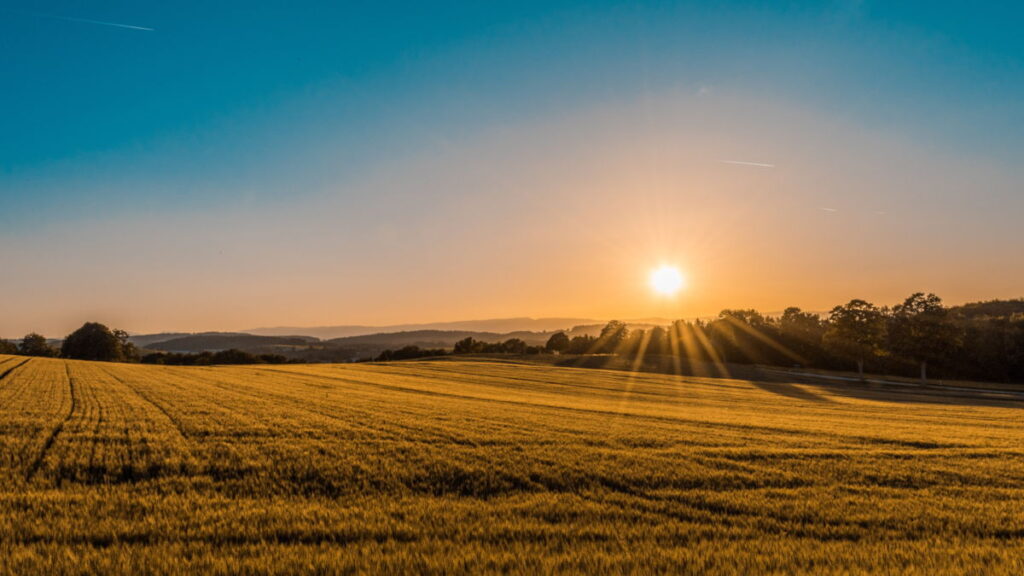 Agrochemical products