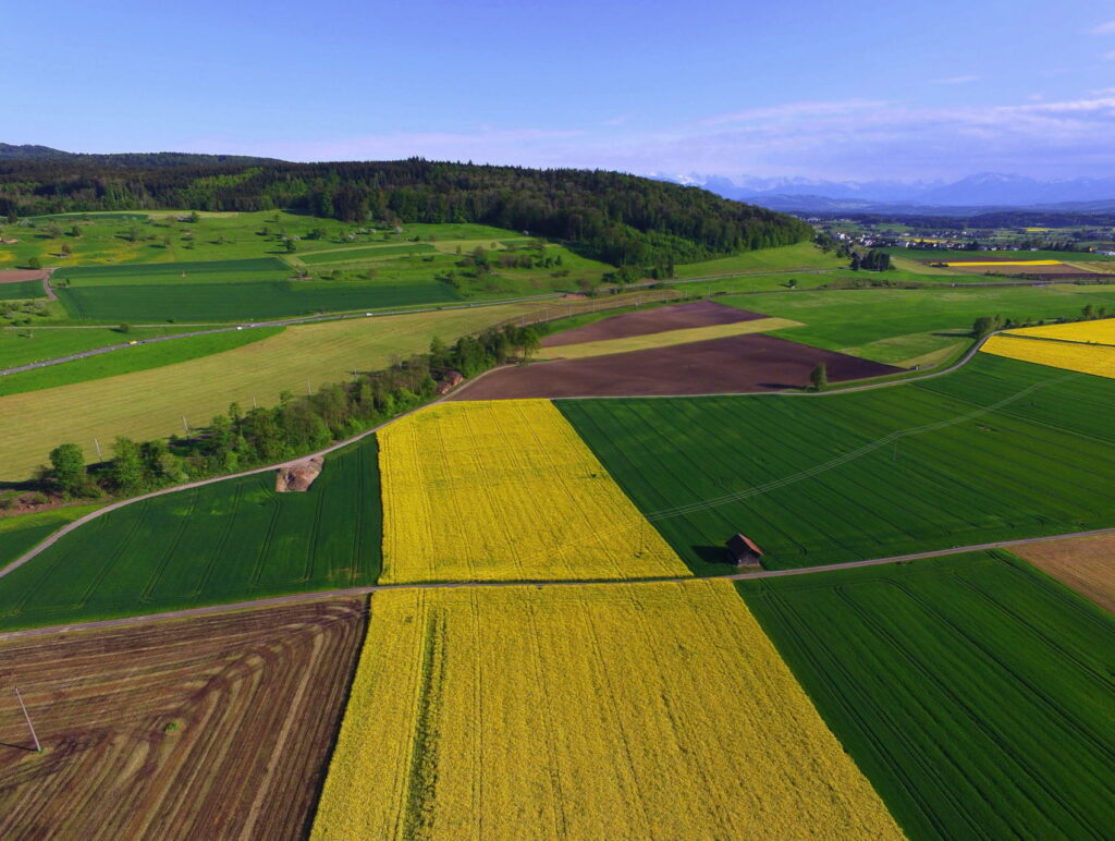 Crop protection consulting